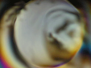 Growth of lysozyme crystal