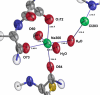 Sodium binding site